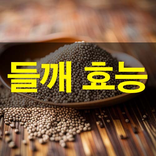  들깨 효능 및 부작용 하루 권장량 들깨 요리