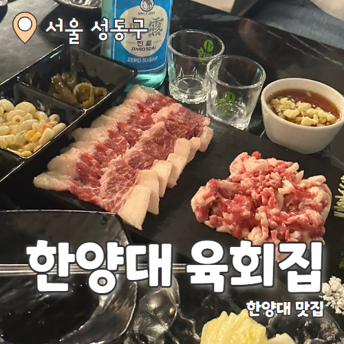  한양대육회집 : 왕십리맛집 차돌박이 사시미 첫영접 후기