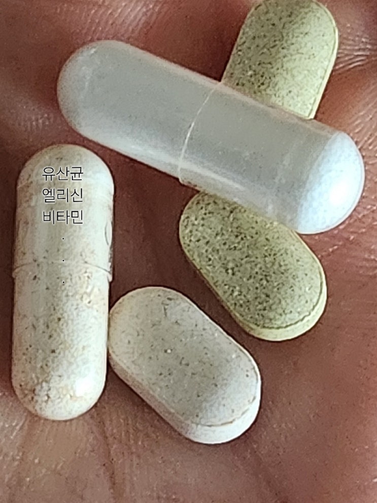  만학도 ᆢ 교직실습 ᆢ