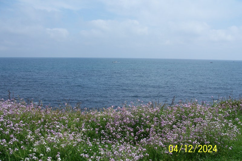 코닥 이지쉐어 c875) 제주 성산 산책
