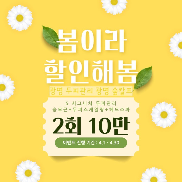  봄철 가려운 두피는 광명 숲칼프에서 두피관리 헤드스파로 해결
