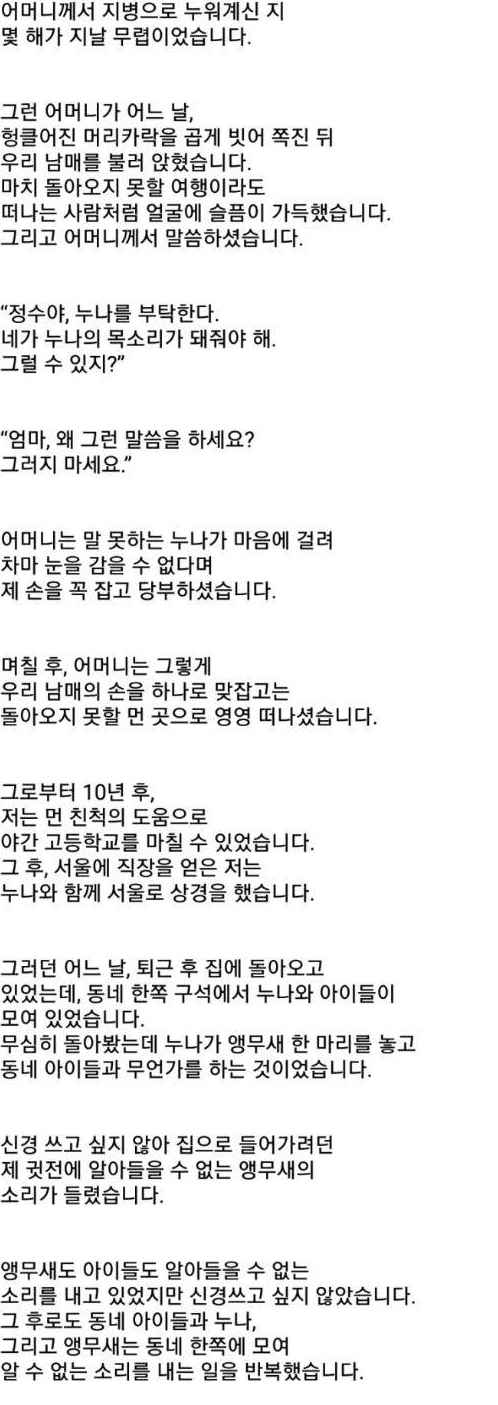  말 못하는 누나의 생일상