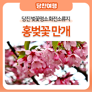 화전소류지 사진 1