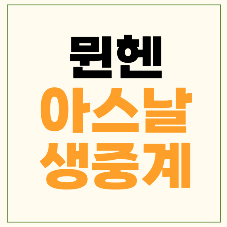 <b>김민재</b> 다이어 선발 라인업 챔피언스리그 8강 결과 <b>4강</b>... 