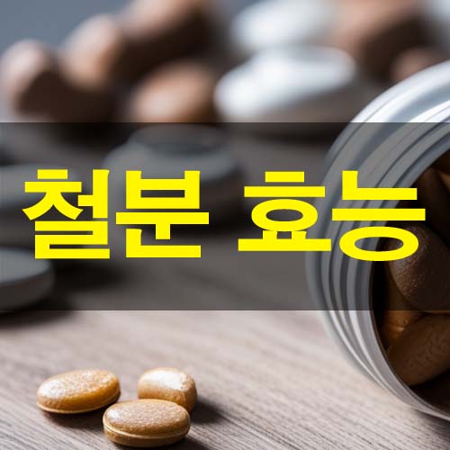  철분 효능 및 부작용 하루 권장량 과다 복용 많은 음식
