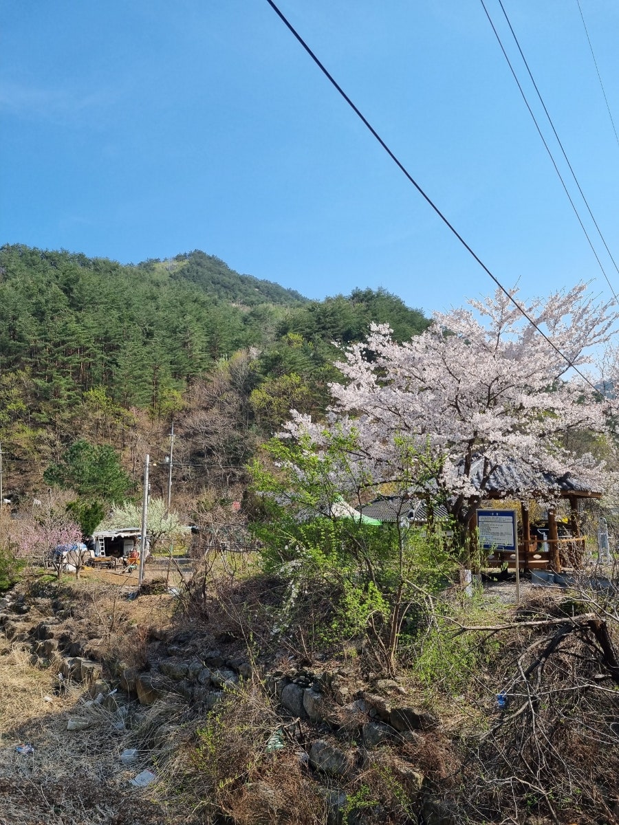 달방골 사진 5