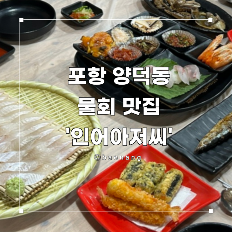 포항 양덕동 횟집 푸짐한 스끼다시와 새콤달콤한 물회맛집 ‘인어아저씨’