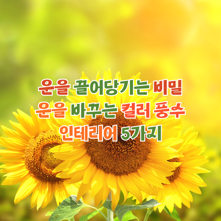  운을 끌어당기는 비밀 운을 바꾸는 컬러 풍수 인테리어 5가지