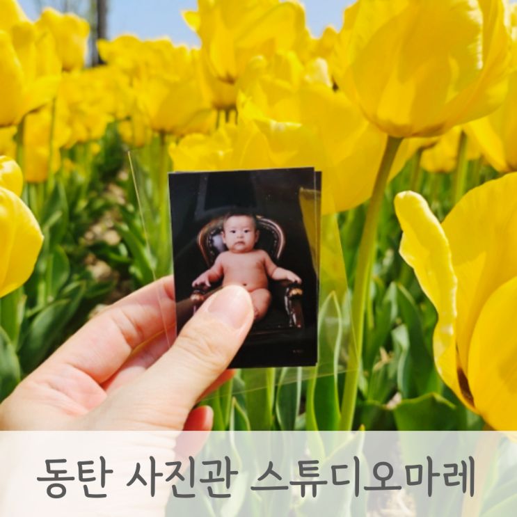  동탄 사진관 증명사진 전문 스튜디오마레 아기 백일촬영
