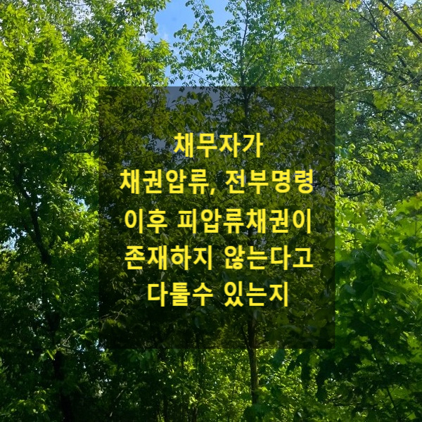  채권압류, 전부명령 이후 피압류채권이 존재하지 않는다고 채무자가 다툴수 있는지