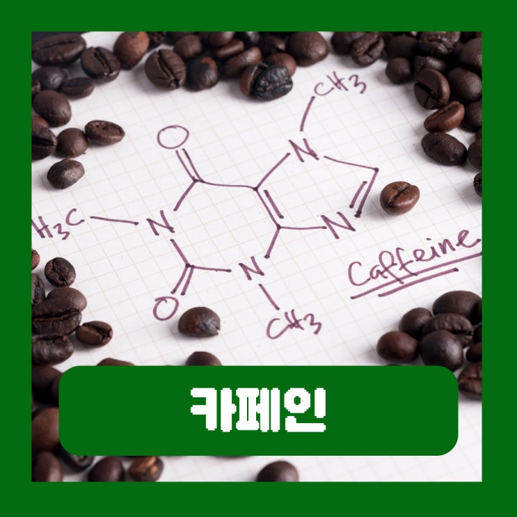 성인 하루 카페인 권장량 임산부 임신 기간 중 커피 초콜릿 콜라 녹차