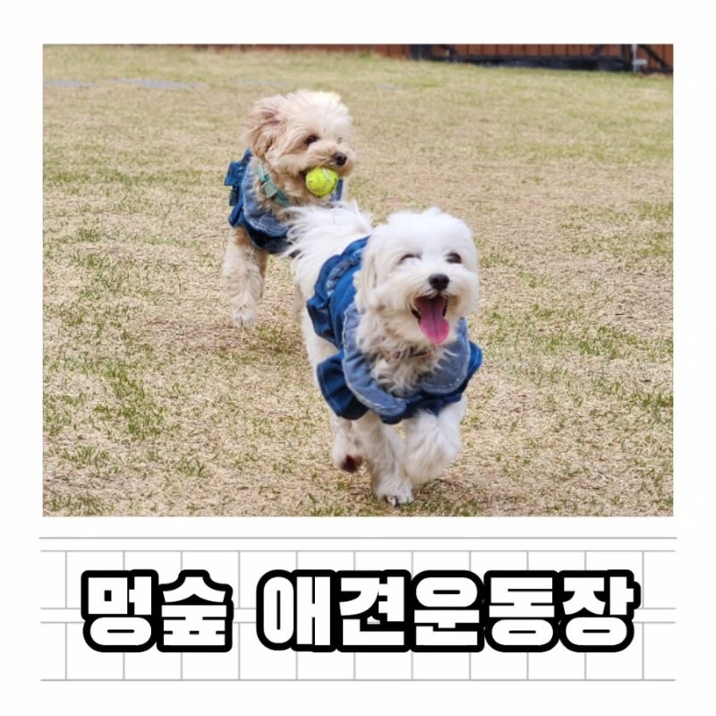 사진 5