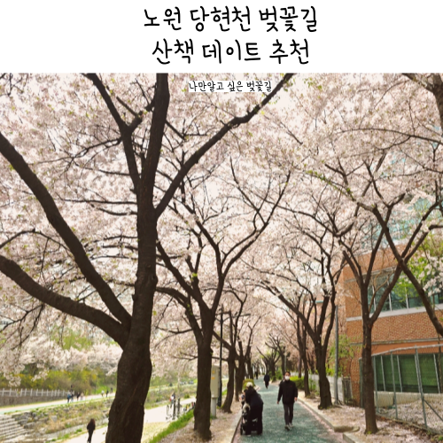 노원 당현천 벚꽃 기억길 산책로 데이트 추천