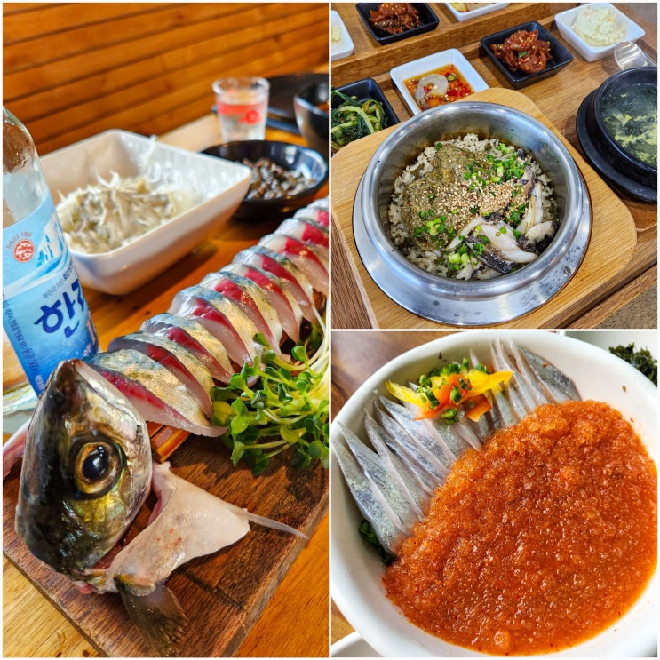  [스시마씸&담백&성산갯마을]제주동쪽여행 꼭! 먹어야할 맛집 추천/내돈내산