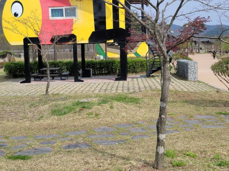  <경북 예천> 삼강나루캠핑장! 캠핑! 놀이터 아이들 놀기좋은 캠핑장! 곤충펜션
