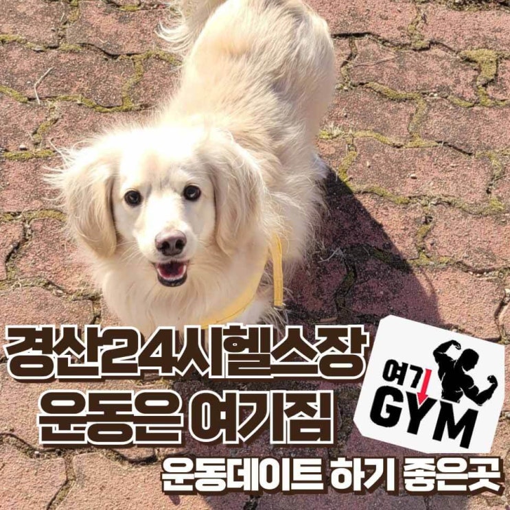 경산 24시 헬스장 영남대 운동은 여기짐