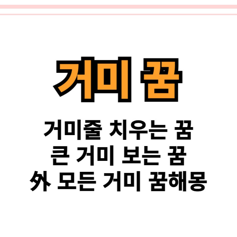 왕거미꿈 거미줄치우는꿈 다양한 거미꿈 있어요