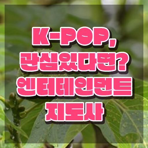  엔터테인먼트지도사 무료 강의 , 엔터테인먼트지도사 자격증 온라인강의 무료, 독학으로 합격 비법 및 커리어 활용 방안