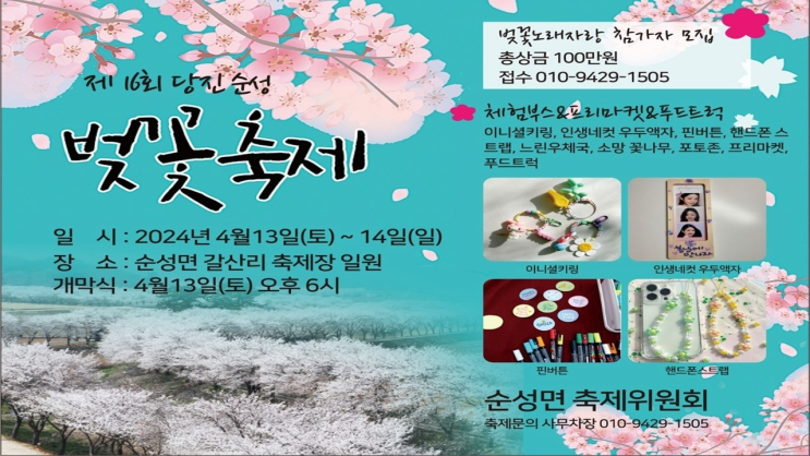  제 16회 당진 순성 벚꽃축제 행사일정 프로그램24.04.13(토)~14(일)