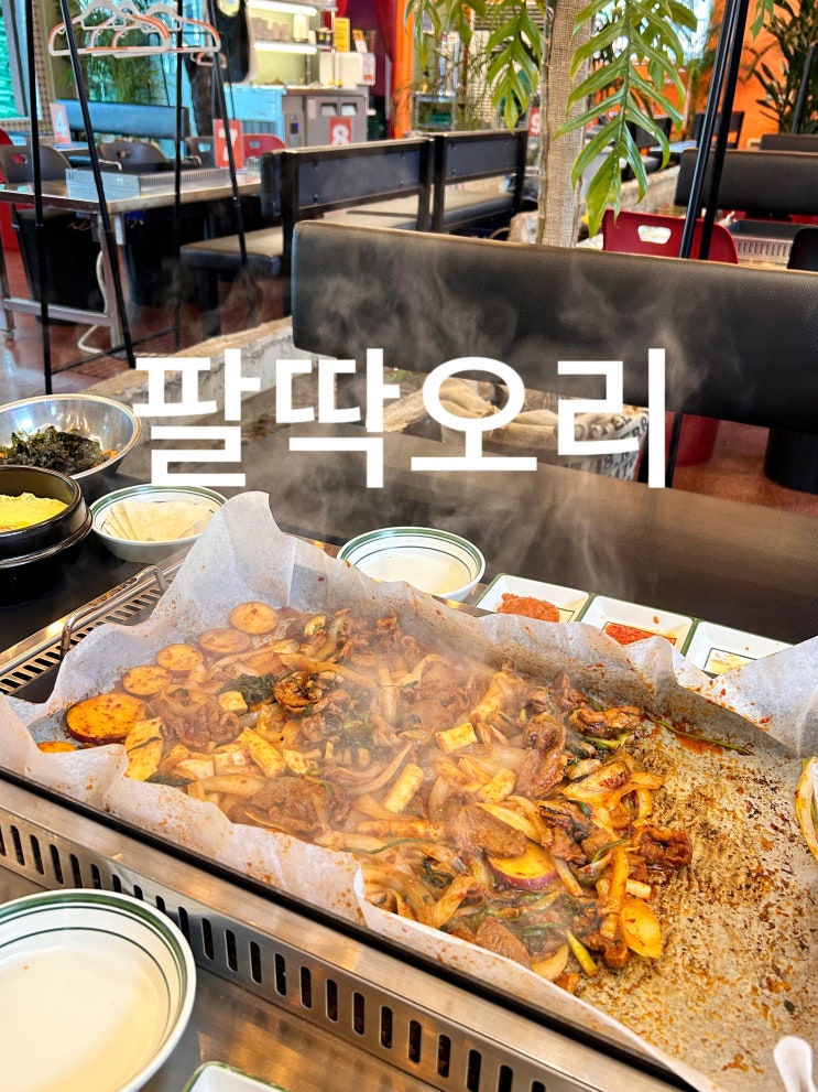  수원 오리고기 맛집 팔딱오리 수원본점으로 당일치기 여행 다녀온 후기