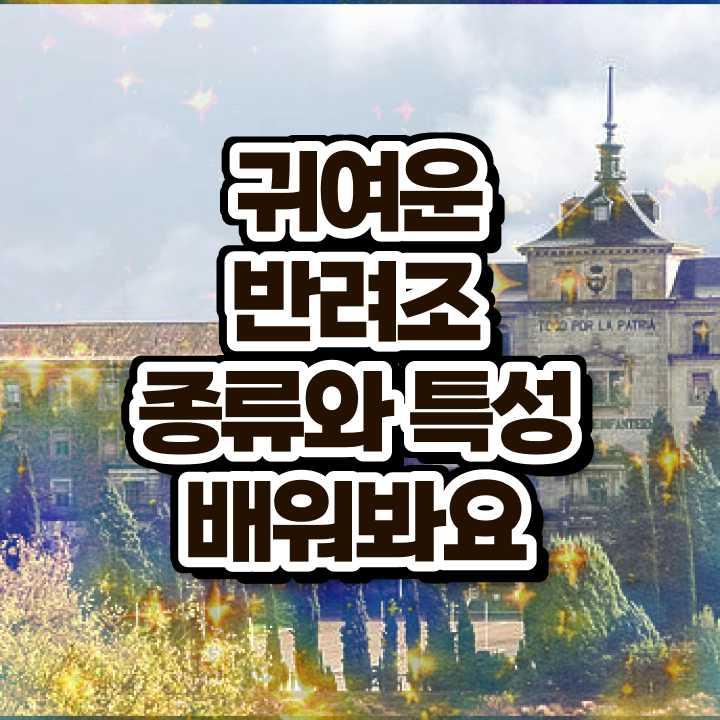  앵무새 털갈이 , 반려조관리사 자격증 공부하고 합격한 정보 궁금하다면