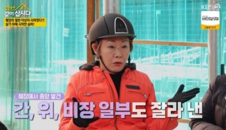 <연예가핫이슈> 배연정 "췌장암 수술로 13cm 절제...한 달간 중환자실" (같이삽시다) <연예가핫이슈> 배연정 "췌장암 수술로 13cm 절제...한 달간 중환자실" (같이삽시다)
