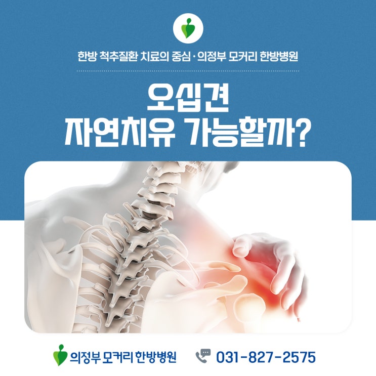  의정부 오십견 증상 원인 치료(어깨통증)