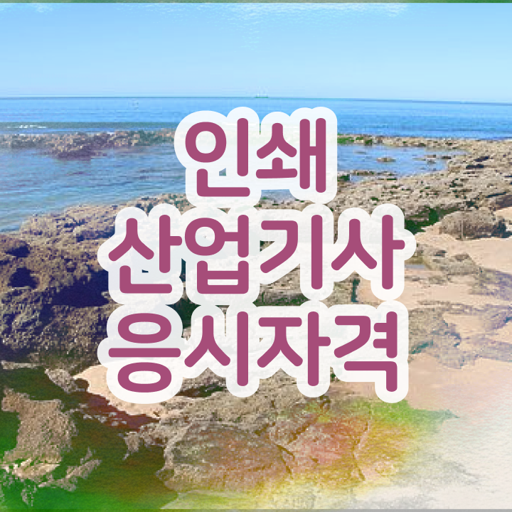  인쇄산업기사 시험응시조건 관련학과 졸업장 없어도 혼자서 독학으로 쉽게 준비한 과정