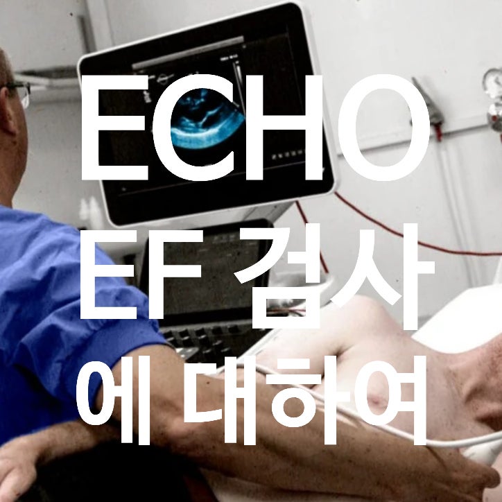  ECHO EF, 좌심실 박출률의 정의와 EF에 따른 심부전 분류에 대해서 알아봐요.