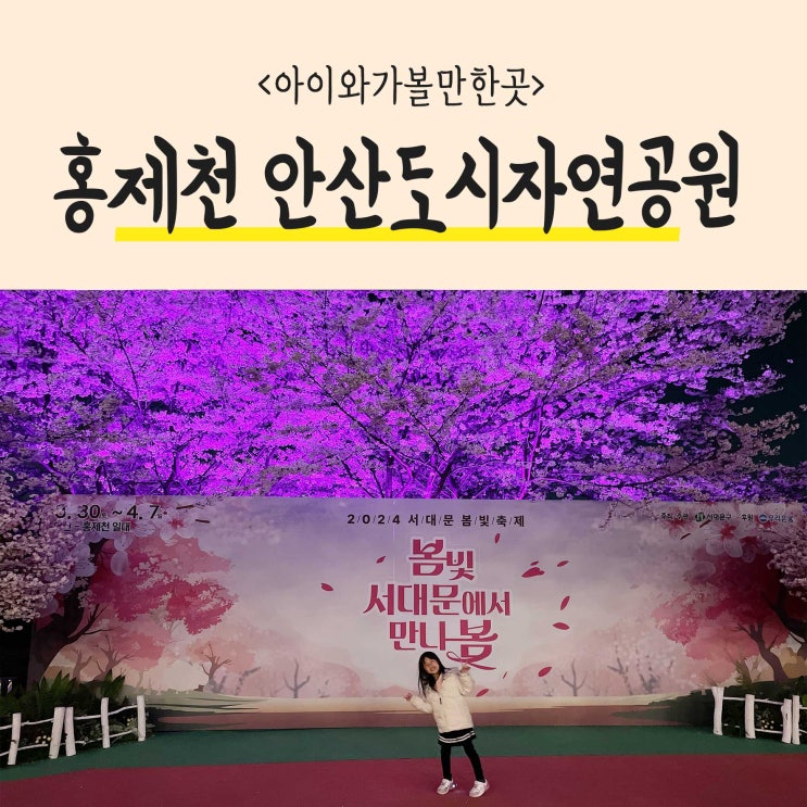  홍제천 안산도시자연공원에서 아이랑 벚꽃축제 즐기기