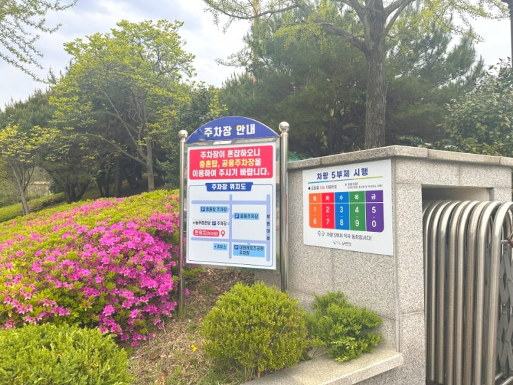  경남 창원 겹벚꽃 명소 늘푸른전당 겹벚꽃 실시간 개화상황 및 주차정보