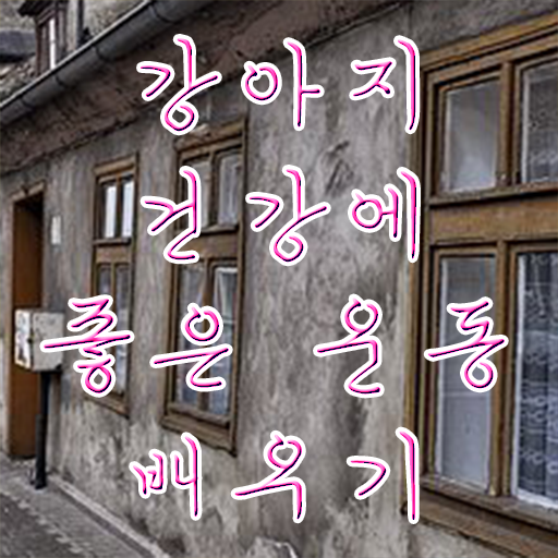  반려견운동지도사1급 , 반려견운동지도사 자격증 경력 활용 방안 확인