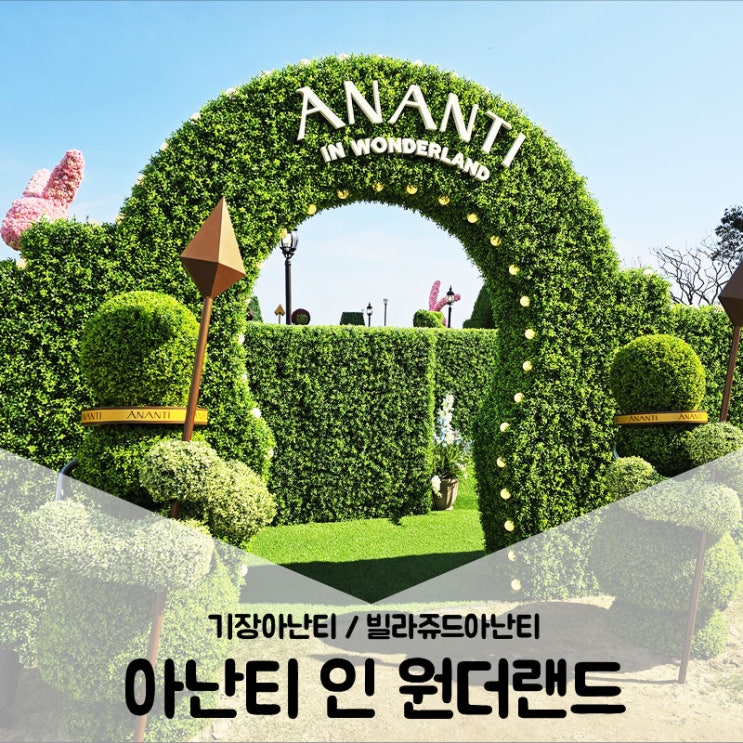  기장아난티 / 부산빌라쥬드아난티 이상한 나라의 아난티 상륙! Ananti in wonderland