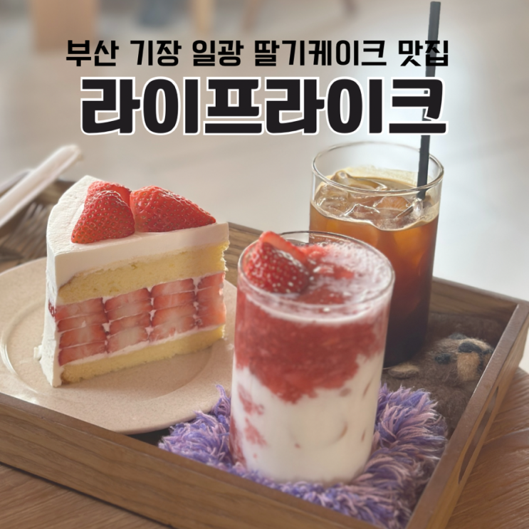  부산 기장 일광 딸기케이크 맛집 라이프라이크