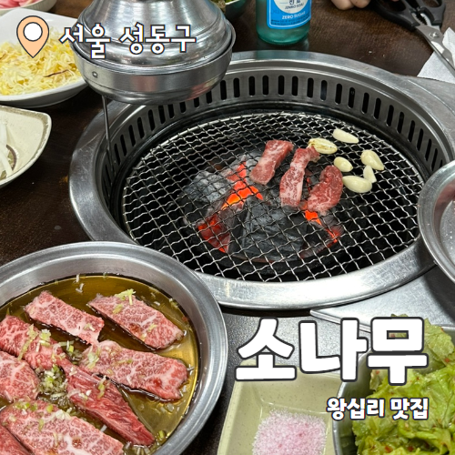  소나무 : 왕십리맛집 한우소갈비살 찐맛집 추천