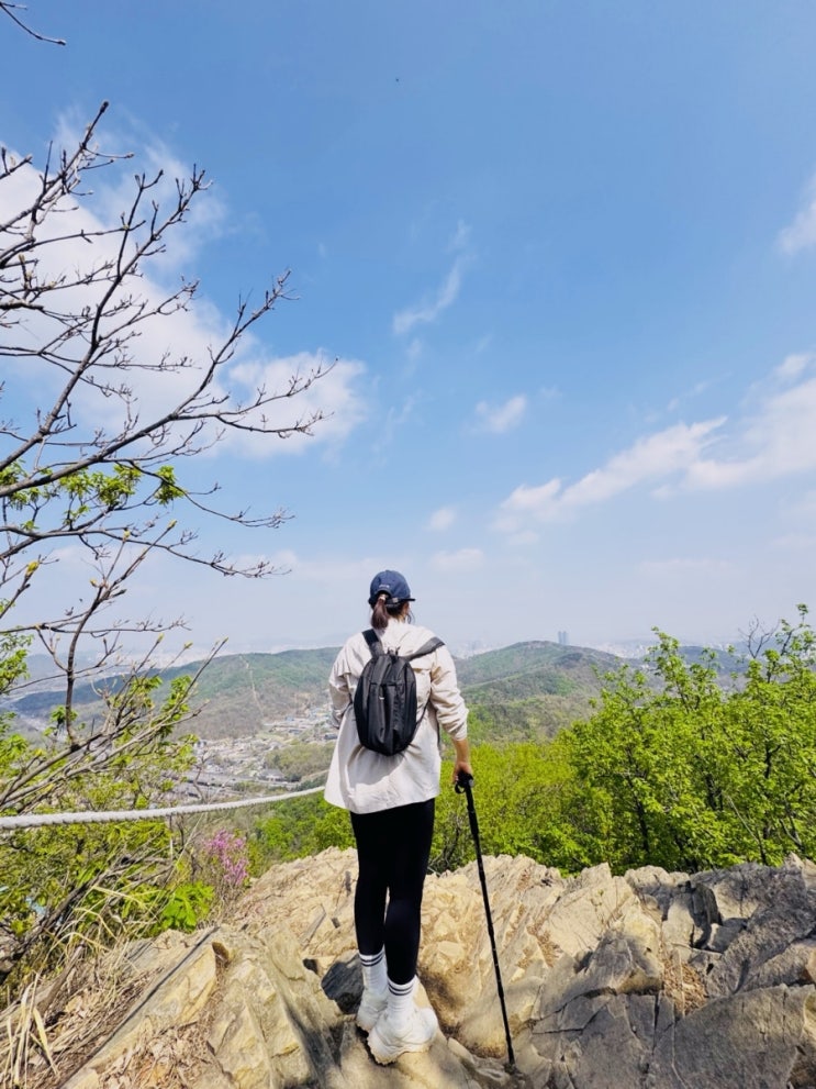  소래산의 봄