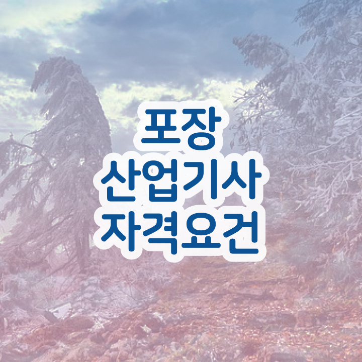  포장산업기사 시험 과목 포장산업기사 자격요건 무자격 비전공자도 인강만 듣고 독학으로 1학기 만에 갖추는 방법