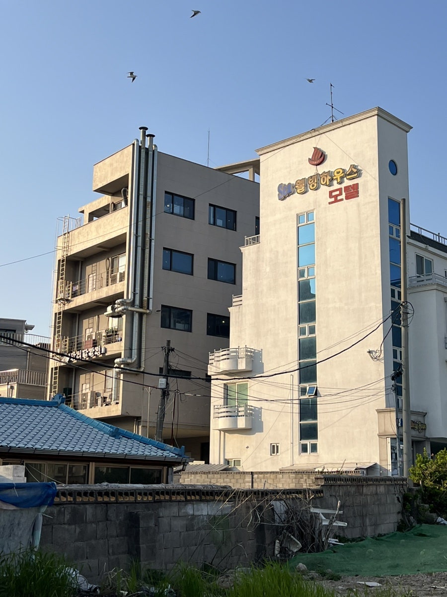 씨웰빙하우스 사진 2