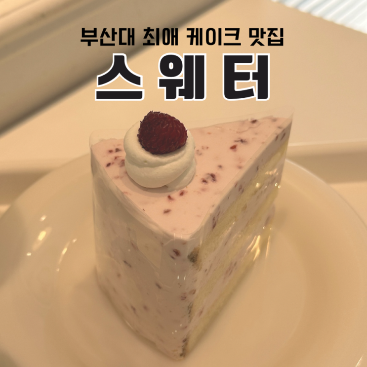  부산대 5번 넘게 간 최애 케이크 맛집 카페 스웨터