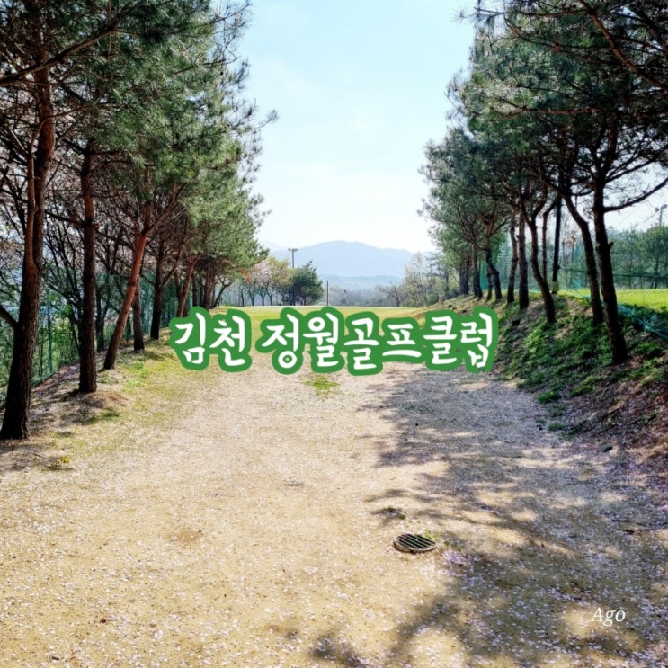  경북 김천 정월골프클럽 feat 김천된장cc