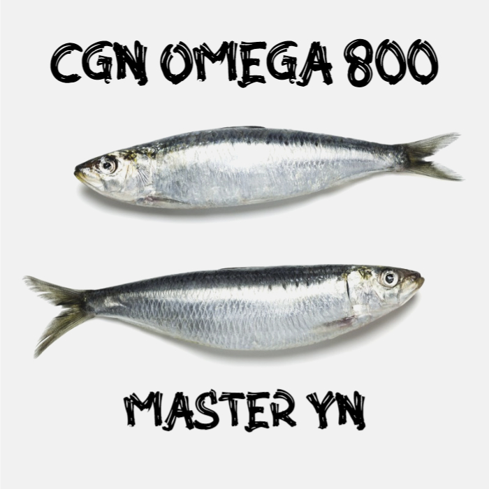  CGN 오메가 800 왜 최고 가성비 제품인지 알려드립니다.