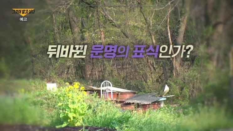 그것이알고싶다 1393회 내 몸의 일부였던 점들이 실제로는 숨겨져있던 문신이었다? 뒤바뀐 운명의 아이들, 해외 입양 미스터리