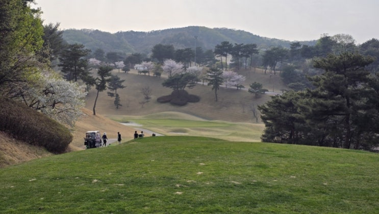  일죽 썬밸리CC 골프라운딩 후기. 그린 난이도 상으로 질리지 않는 골프장!! 썬밸리 무기명회원권 정보 알아보기