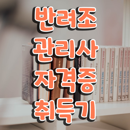  회색 앵무새 수명 , 반려조관리사 자격증 온라인 독학 정보 와 경력 활용 방안
