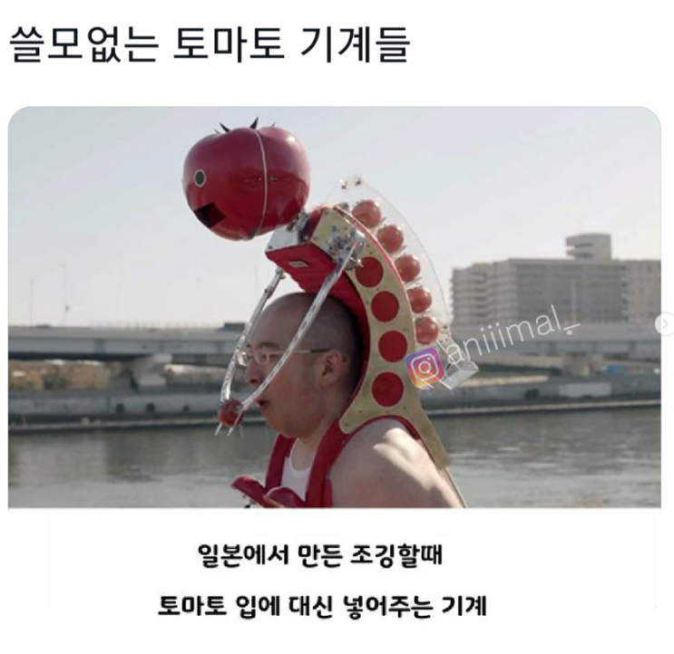  쓸모없는 토마토 기계들