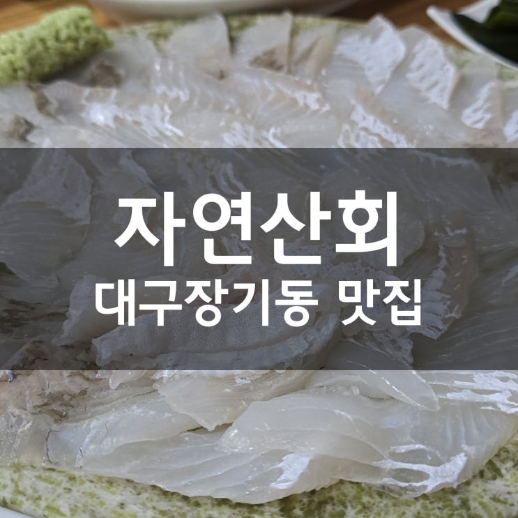  대구 장기동 횟집 장기동 먹자골목 자연산회 봄도다리 맛집