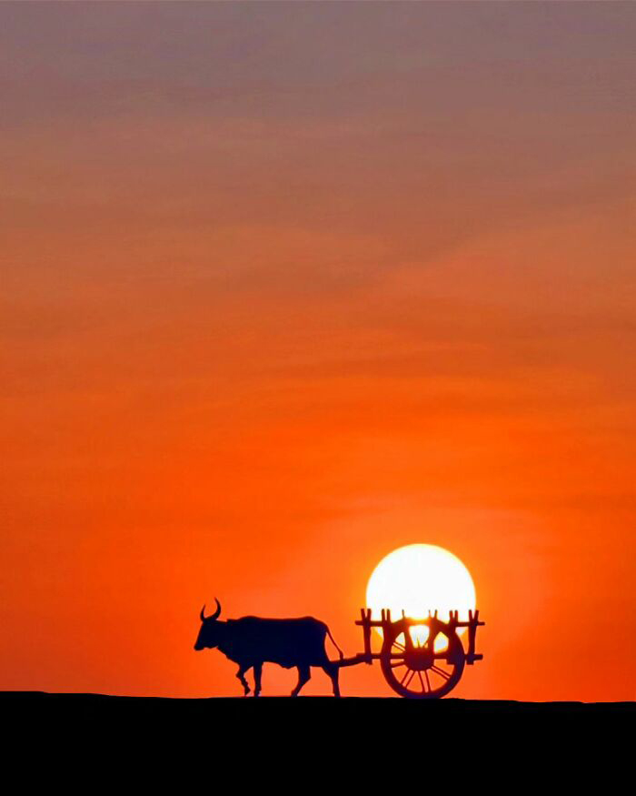 태양과 달을 이용해 창의적인 사진을 찍는 사진작가 Aaditya Shrirang Bhat