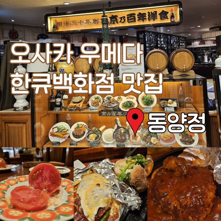 오사카 우메다 한큐백화점 맛집 현지인도 줄서는 함박스테이크 동양정