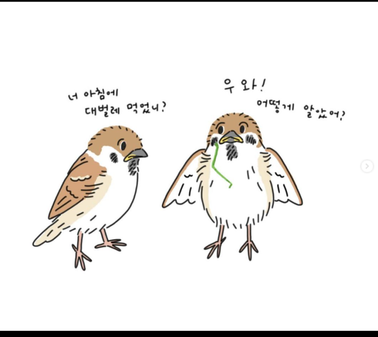  너 아침에 대벌레 먹었니?