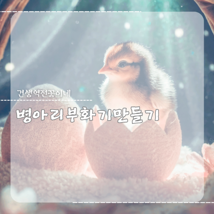  병아리 부화기 만들기 적당한 병아리 부화온도,기간은?